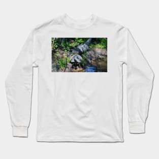 Turtle Says Follow Me Long Sleeve T-Shirt